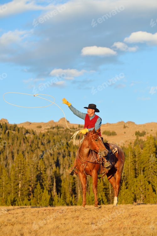 Preview: USA, Wyoming, cowboy sitting on his horse throwing lasso