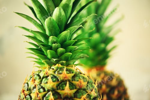 Preview: Pineapple fruit background. Close up of tropical pineapples texture. Summer, holiday concept. Raw