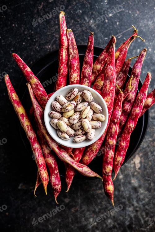 Preview: Cranberry beans in bowl. Beans pods
