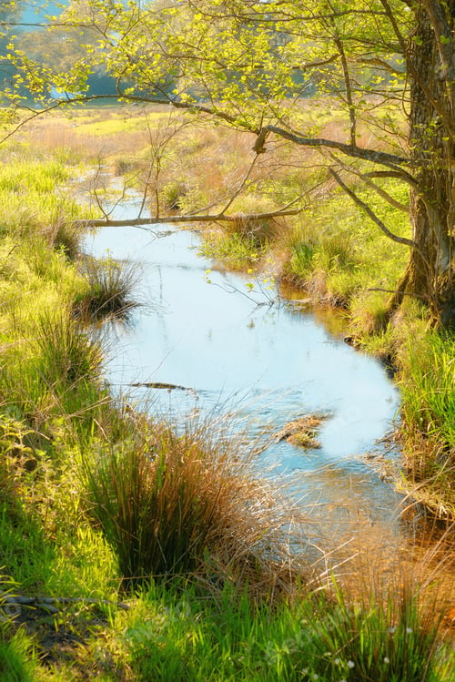 Preview: In the colors of autumn. A photo of a small creek and lake.