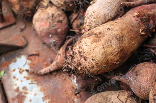 Preview: Beet Harvest (Beetroot, Many Fruits Of That Just Dug From The Ground) Concept. Food Background