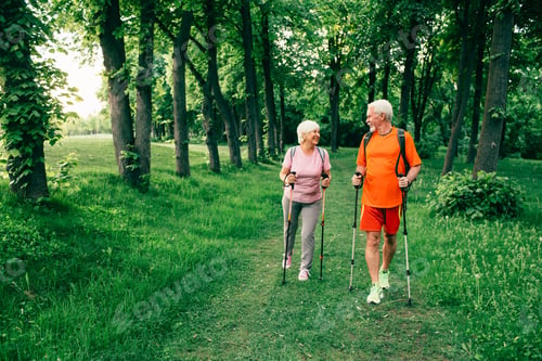Preview: Senior couple walking forest together