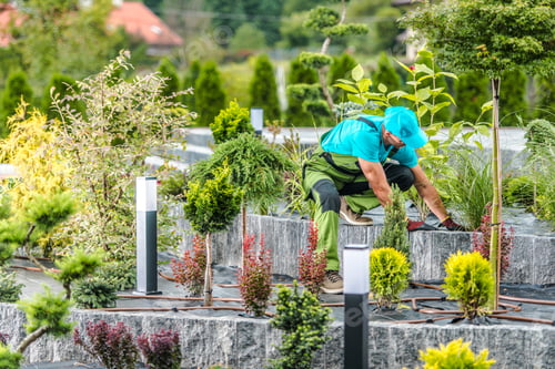 Preview: Gardener Taking Care of Landscaped Flower Bed