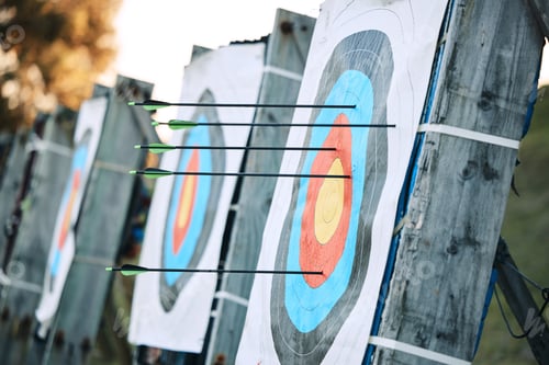 Preview: Arrows in archery circle or target for competition, game or learning in field outdoor for sports ba