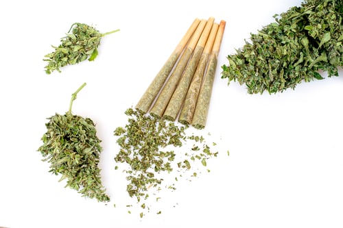 Preview: Pre-Roll marijuana joint with cannabis buds on the white background