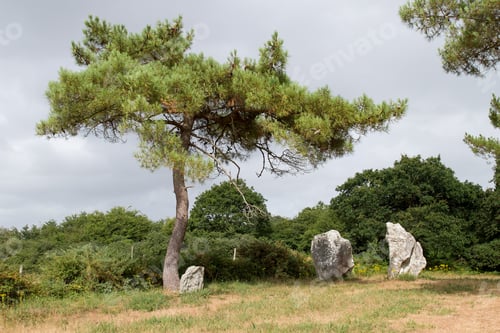 Preview: Quadrangle of the Crucuno - circle of menhirs