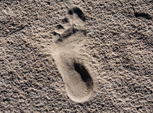 Preview: footstep