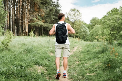 Preview: Man hiking in nature. Athletic traveler with a backpack walking in pine forest, back view. Young man