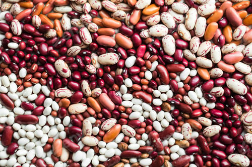 Preview: Different varieties of bean seeds. Beans background.
