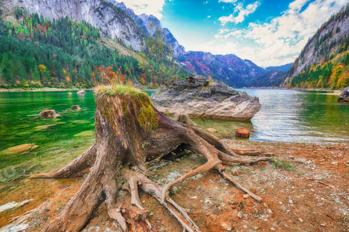 Preview: Beautiful view of idyllic colorful autumn scenery in Gosausee lake Austria