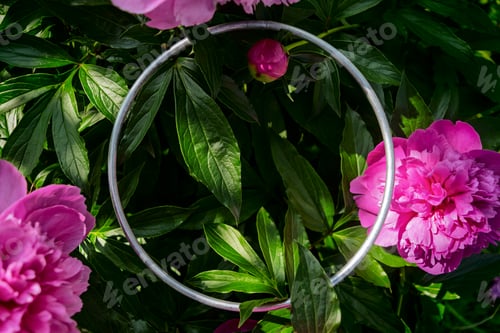 Preview: Metal ring rests on lush green peony leaves surrounded by vivid pink blossoms