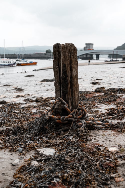 Preview: Weathered wooden post with seaweed and chains on rocky shore, harbor in background