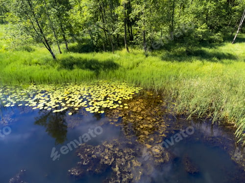 Preview: Lake top view