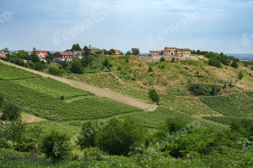Preview: Hills of Oltrepo Pavese at June. Vineyards
