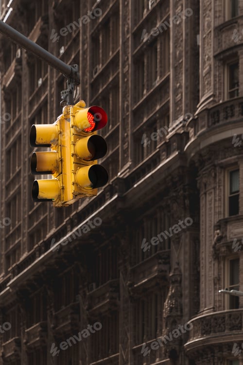 Preview: Vertical landscape of an American traffic light in New York City