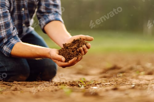 Preview: Close-up of a farmer's strong hands on a black field. Concept of gardening, ecology.
