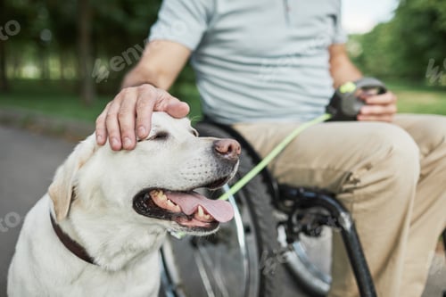 Preview: Man in Wheelchair Petting Dog