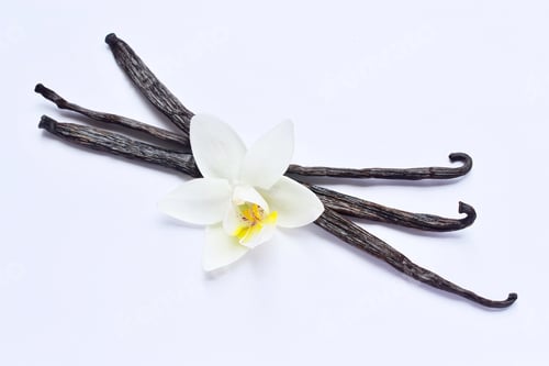 Preview: Vanilla beans