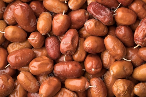 Preview: Organic fruit of the Oleaster, Silver berry or russian olive