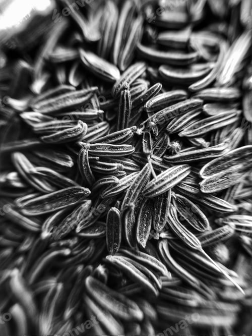 Preview: CUMIN SEEDS