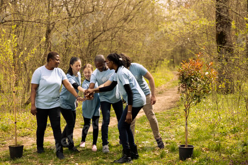 Preview: Joyful positive group of environmentalists collaborate to safeguard the ecosystem