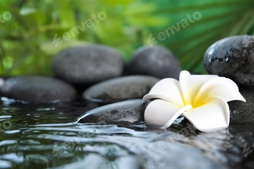 Preview: Zen stones and exotic flower in water against blurred background. Space for text