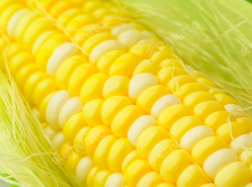Preview: corn cob
