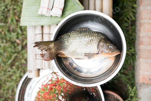 Preview: Fresh fish