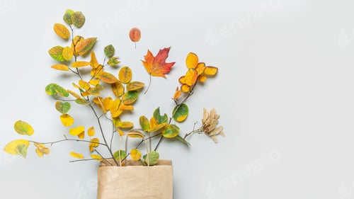 Preview: Fall leaves in craft paper bag on grey background.