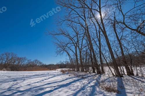 Preview: Winter Sun Hiding Behind the Trees