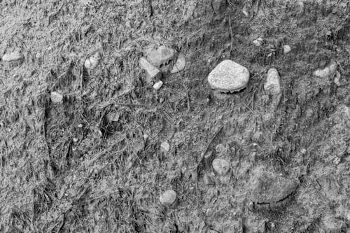 Preview: Abstract Natural Background And Texture Of The Wild Soil With Sand And With Stones Of Monochrome