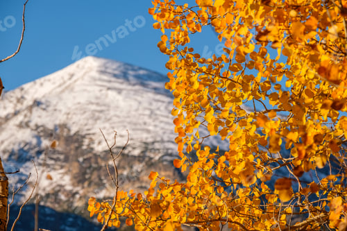 Preview: Autumn in Rocky Mountains, Colorado