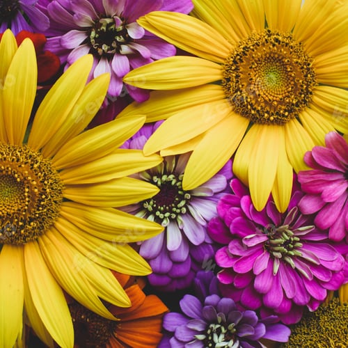 Preview: Colorful floral background.