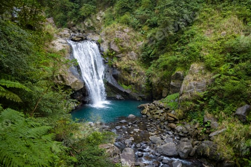 Preview: Forest waterfall in neidong national forest recreation area of taiwan