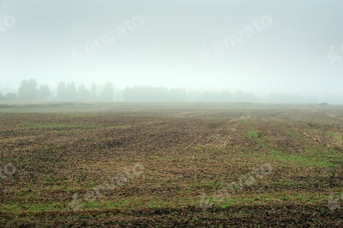 Preview: Panorama of the countryside in autumn harvested crop field, thick fog during rains.