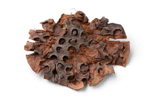 Preview: Dried lotus flower as an ingredient on white background close up