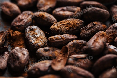 Preview: Cacao beans on plate closeup