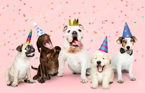 Preview: Group of puppies celebrating a new year