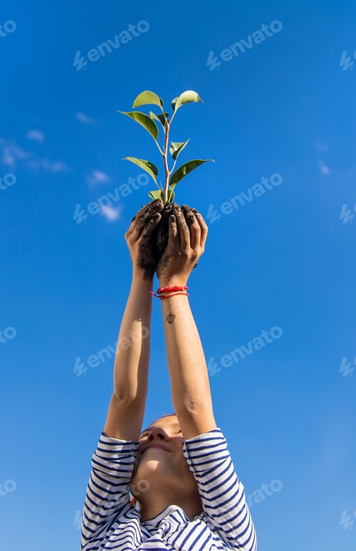 Preview: The child is planting a plant in the garden. Selective focus.