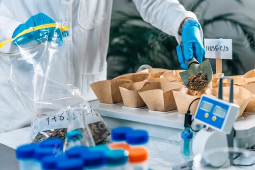 Preview: Soil Sampling Being Poured into Brown Paper Containers