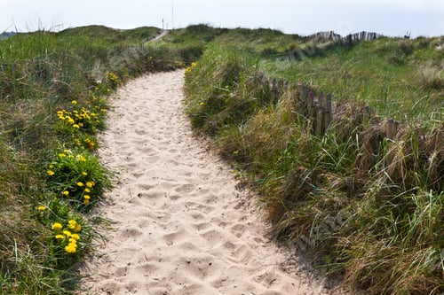 Preview: Sand footpath through dunes
