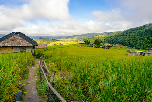 Preview: Serene Asian valley with lush rice terrace fields and traditional rural houses under blue sky