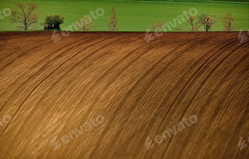 Preview: Processed field with trees and grass in Moravia, Czech Republic