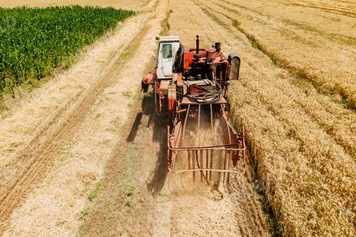 Preview: aerial view of a old Combine harvester goes on way to harvest wheat.