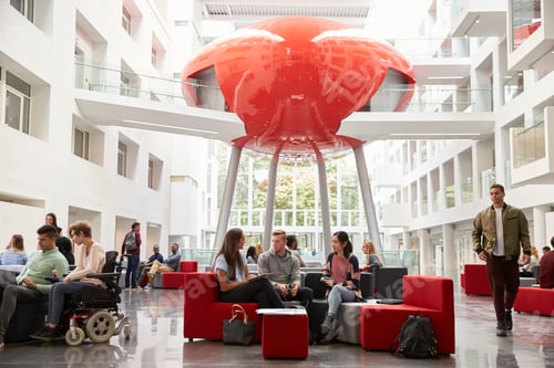Preview: Groups of students meet in the lobby of their university