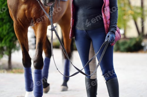 Preview: horse