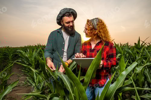 Preview: Agriculture