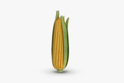 Preview: Fresh Yellow Corn Cob with Husk