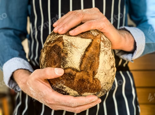 Preview: A man in stripped apron is holding freshly baked sourdough bread. Traditional french loaf