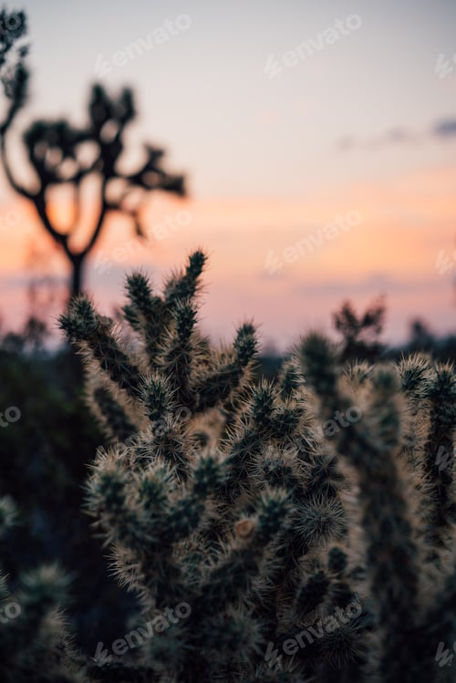 Preview: Sunrise